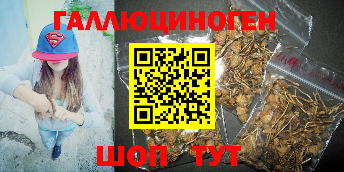 Галлюциногенные грибы Cubensis Карпинск